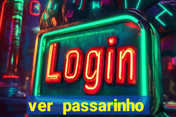ver passarinho morto significado
